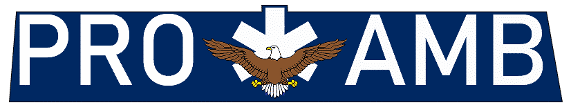 Professional Ambulance Logo
